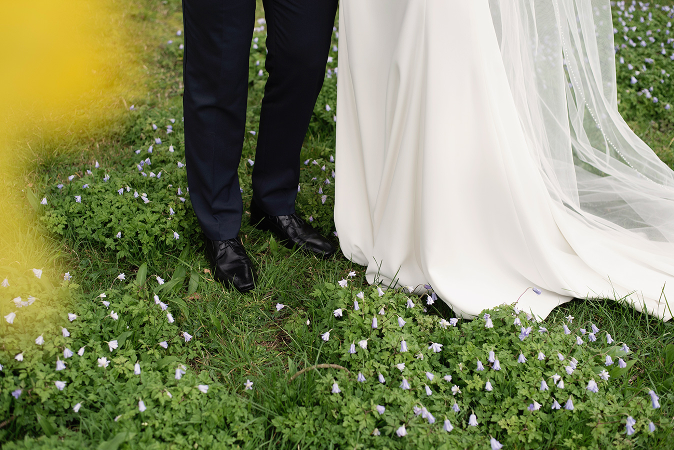 bride and groom stand in bluebells at rathsallagh wedding