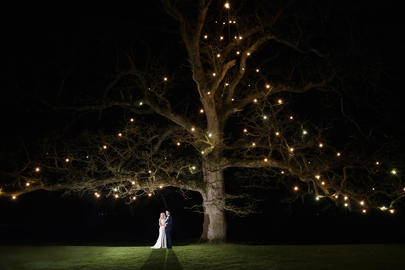 bride and groom under rathsallagh tree night time fairy lights wedding photo