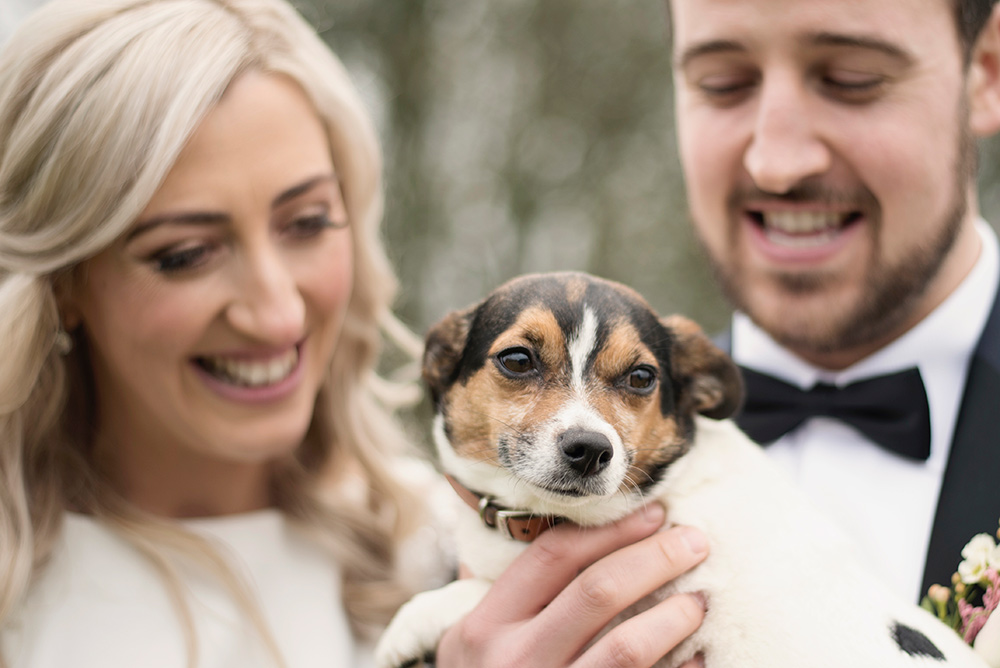 dog wedding photos ireland