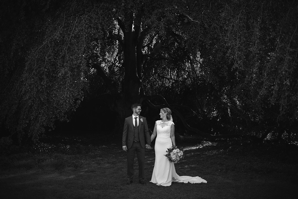 Bridal Couple at Bellinter House Tree