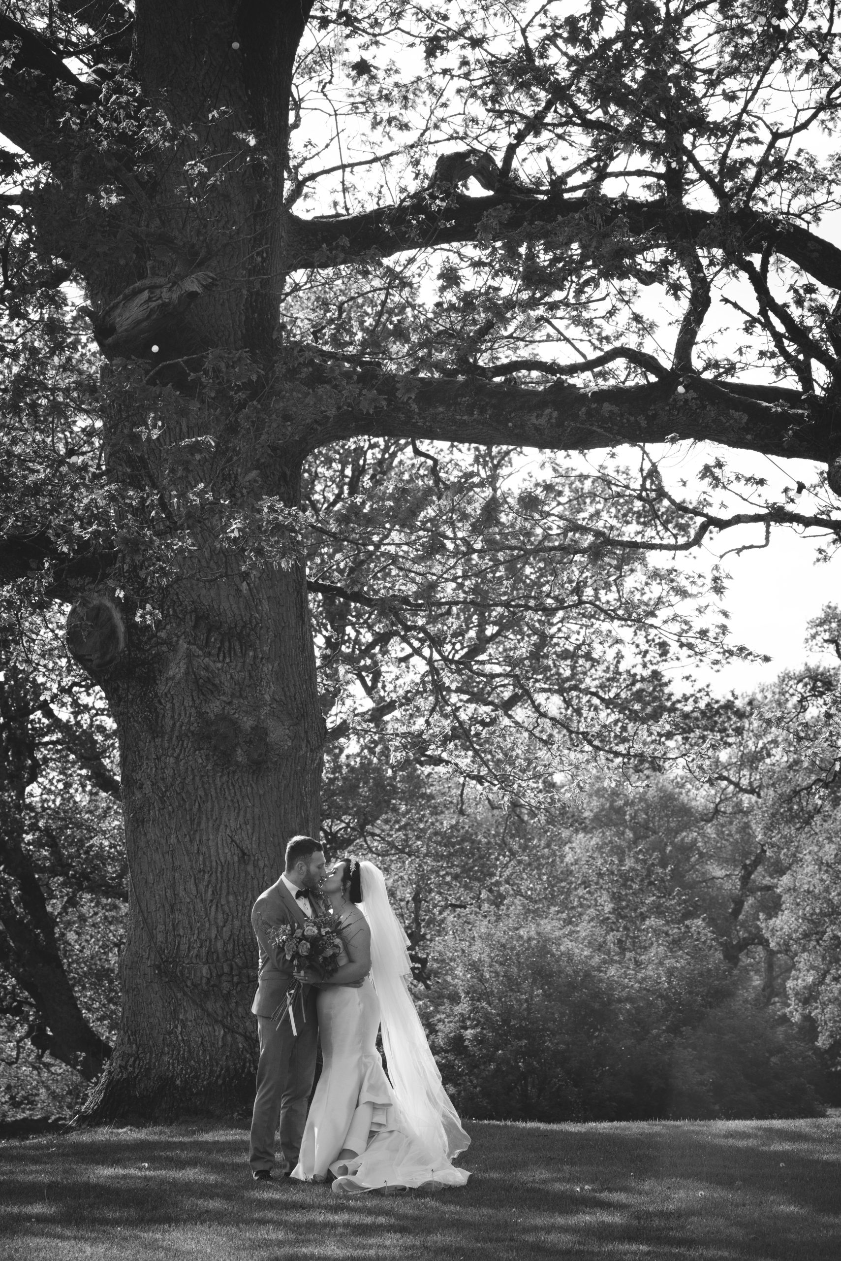 Black and white shot of a couple under a big tree
