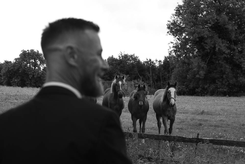 Groom with horses at wedding at Rathsallagh House