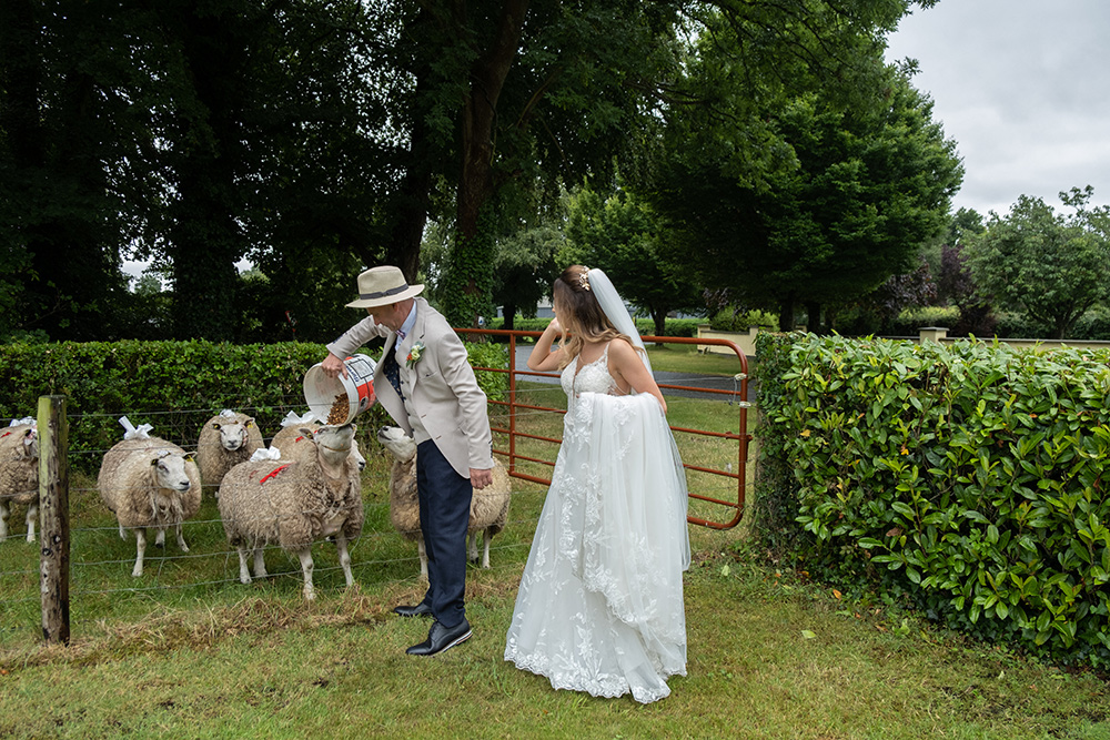farm friendly wedding venues in Ireland