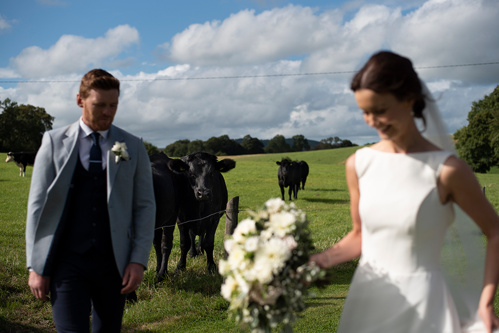 bride and groom in the fields at Clonabreany House