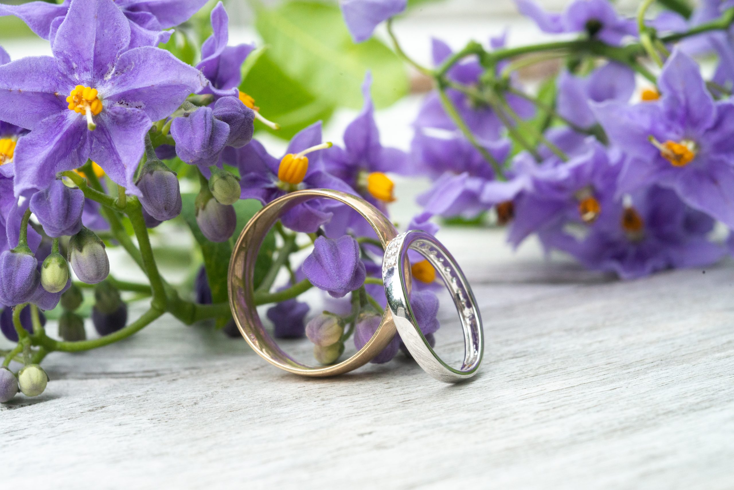 rings in front of puprple bouquet